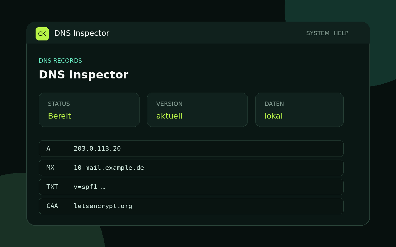 Oberfläche von Cyberknecht DNS Inspector